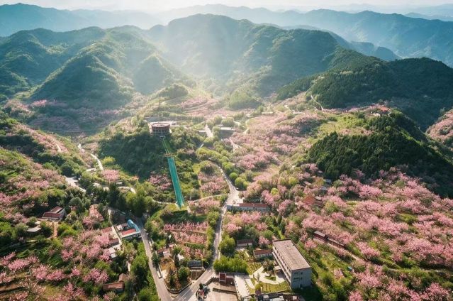 中景恒基投资在京首个康养基地建设启航